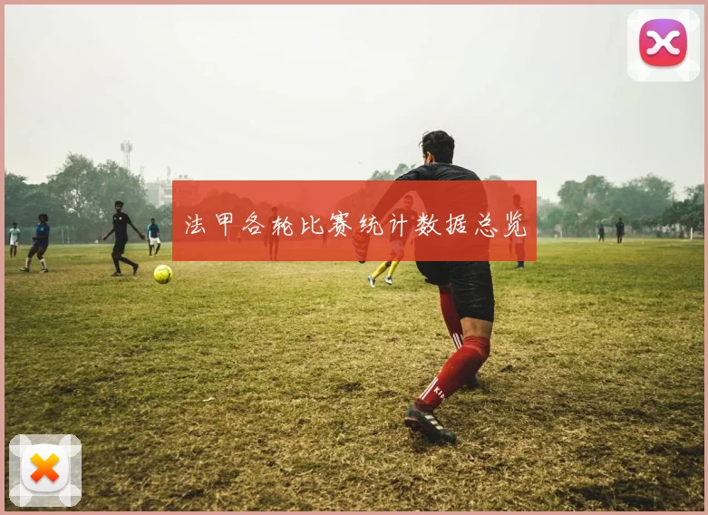 法甲各轮比赛统计数据总览