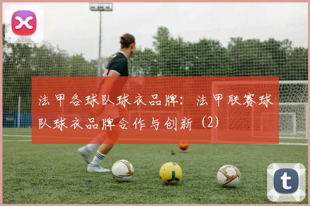 法甲各球队球衣品牌：法甲联赛球队球衣品牌合作与创新 (2)