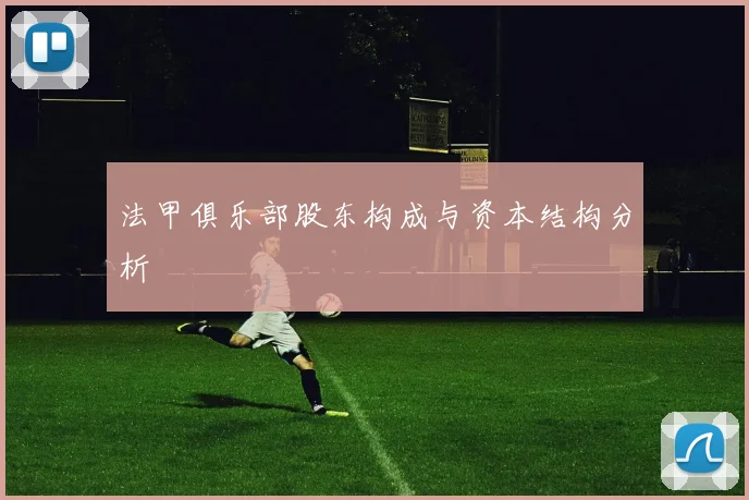 法甲俱乐部股东构成与资本结构分析