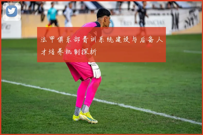 法甲俱乐部青训系统建设与后备人才培养机制探析