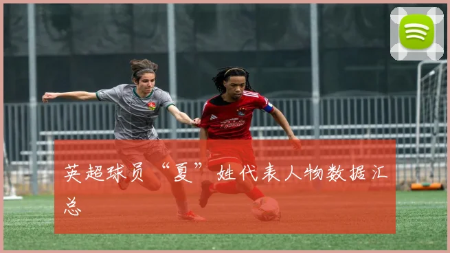 英超球员“夏”姓代表人物数据汇总