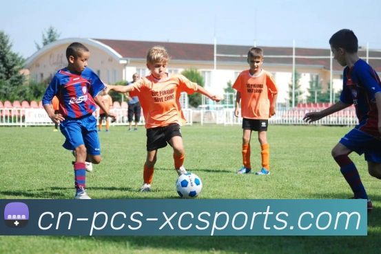 杏彩体育平台生态图