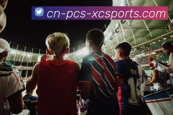 杏彩体育全站App